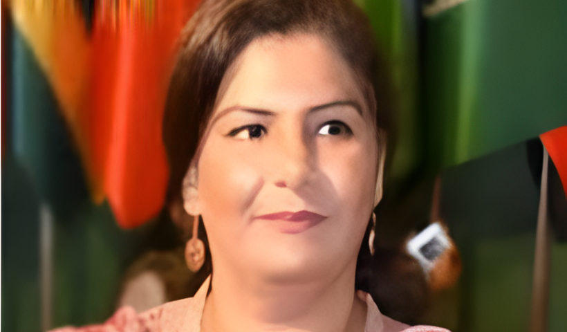 پرنسپل انفارمیشن آفیسر (پی آئی او) ریئسہ عادل