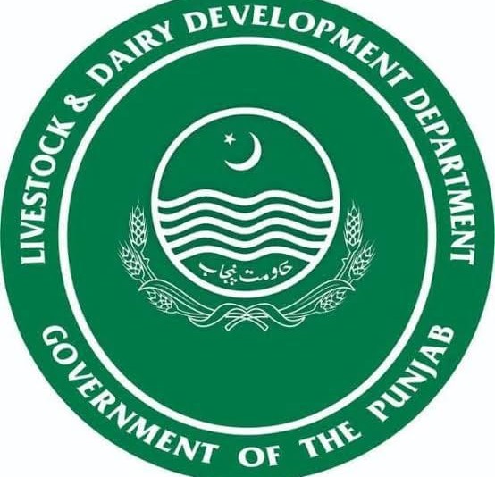 محکمہ لائیو اسٹاک