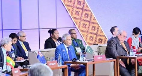 نائب وزیراعظم