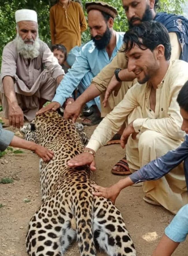 محکمہ جنگلی حیات