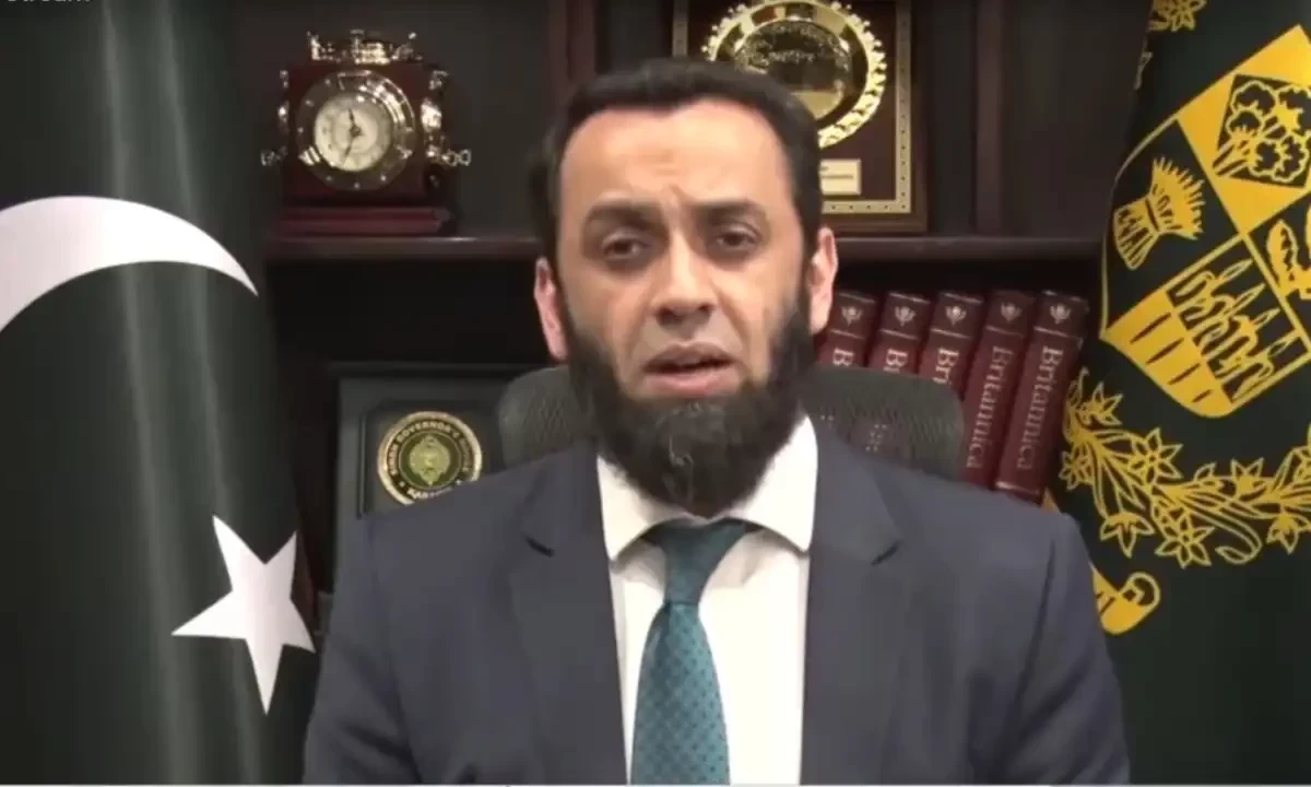 وفاقی وزیر اطلاعات عطاء اللہ تارڑ