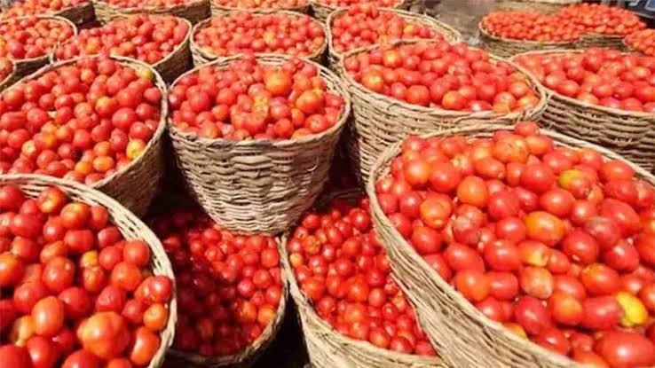 راولپنڈی میں ٹماٹر کی قیمت میں ہوشربا اضافہ