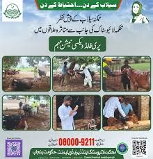 لائیو سٹاک فلڈ ریلف کیمپس