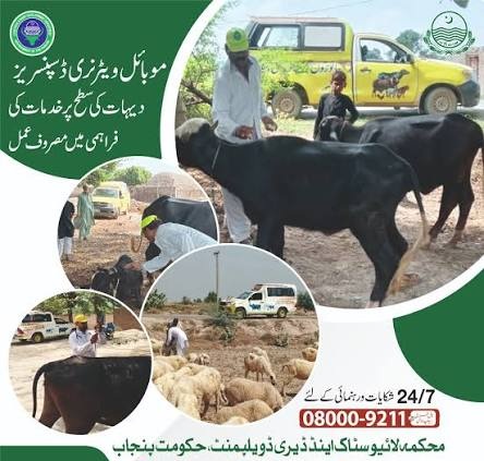 محکمہ لائیو سٹاک اینڈ ڈیری ڈویلپمنٹ ملتان