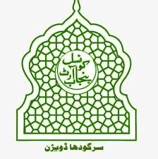 پنجاب کونسل آف دی آرٹس سرگودھا
