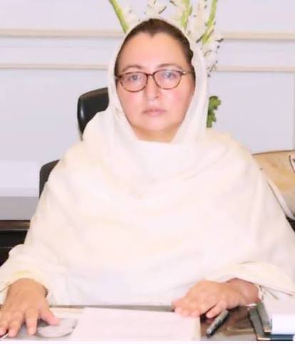 کمشنر فیصل آباد مسرت جبیں