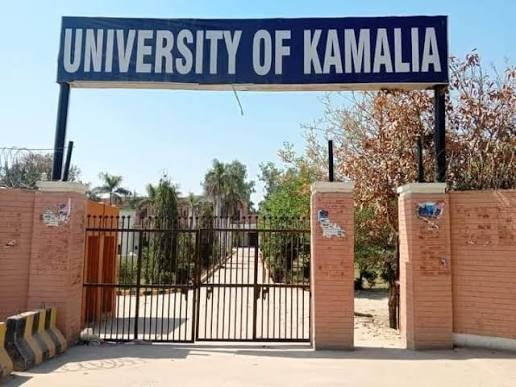 یونیورسٹی آف کمالیہ
