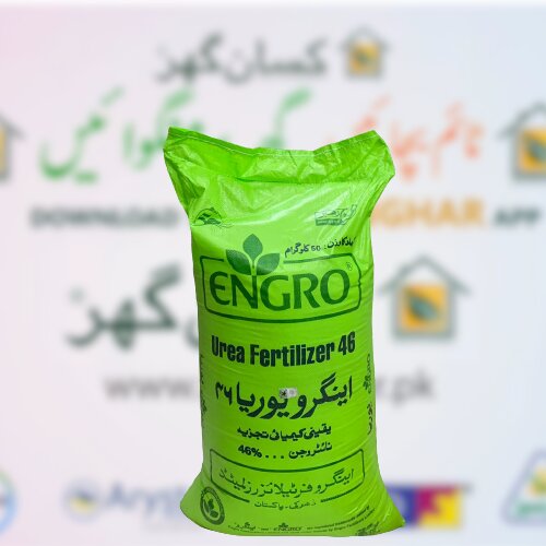 اینگرو فرٹیلائیزرز