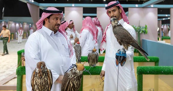 سعودی عرب میں انٹرنیشنل بریڈرز آکشن