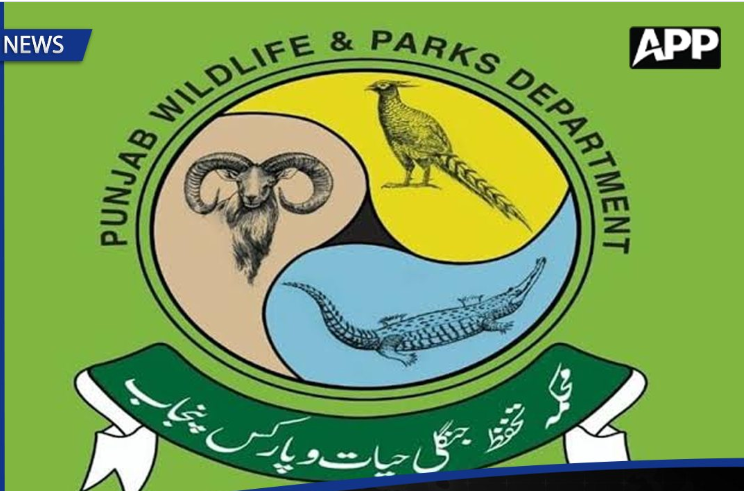 محکمہ تحفظ جنگلی حیات کاغیر قانونی تجارت کی موثر روک تھام کیلئے کارروائیاں