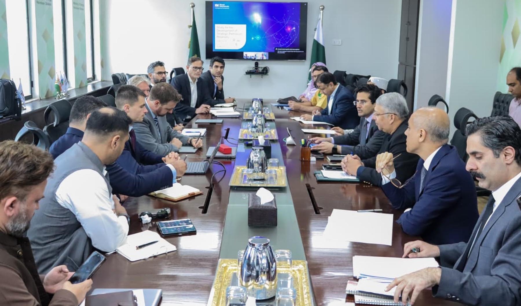 وفاقی وزیر پٹرولیم علی پرویز ملک