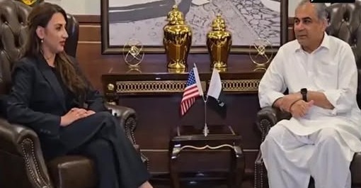 وفاقی وزیر داخلہ محسن نقوی
