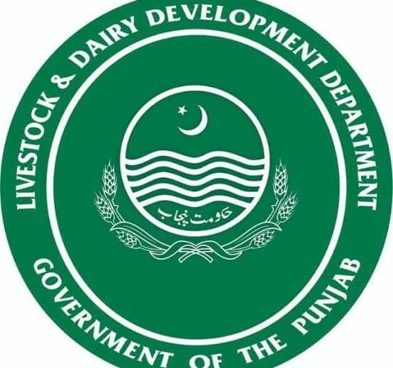 لائیو سٹاک