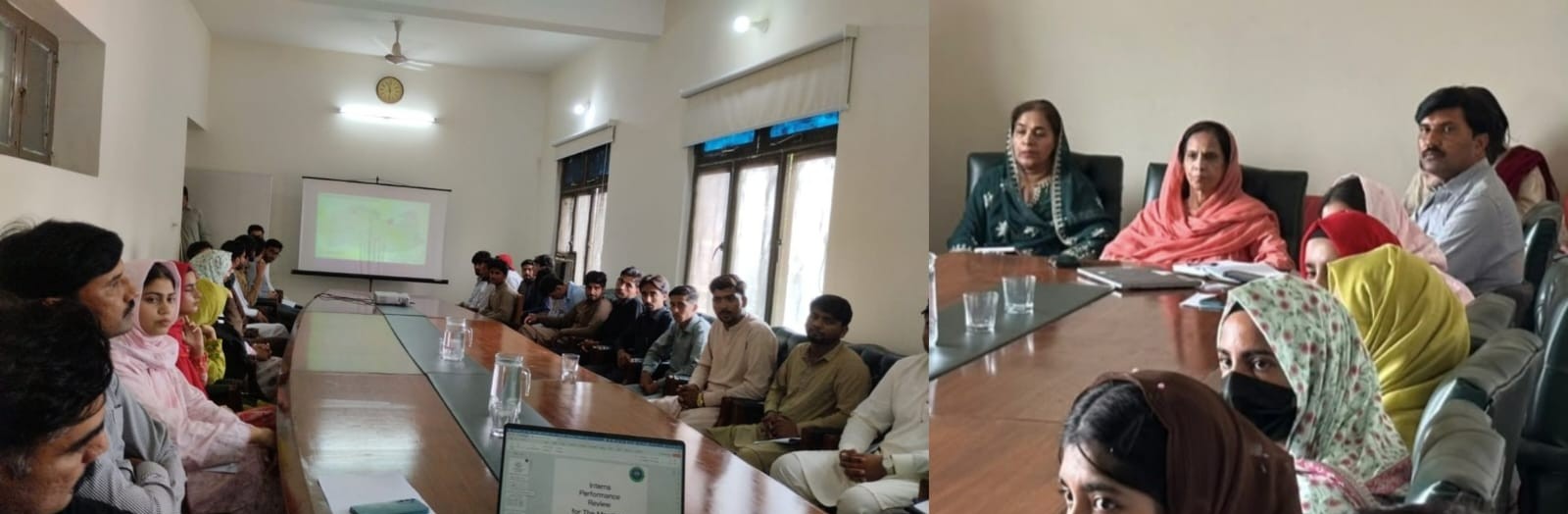 ڈائریکٹوریٹ آف لائیو سٹاک