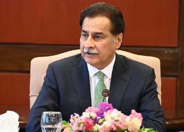 سپیکر قومی اسمبلی سردار ایاز صادق نے کہا ہے