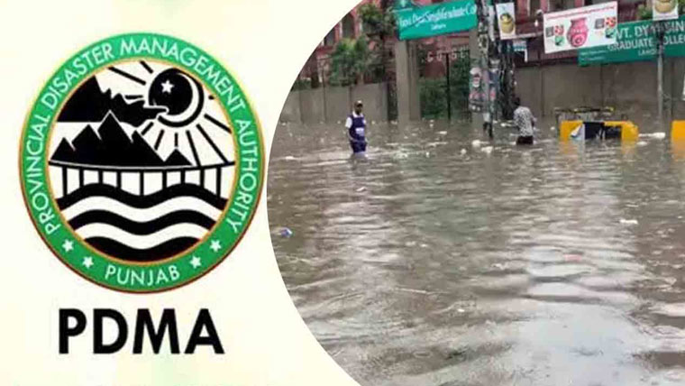 پی ڈی ایم اے