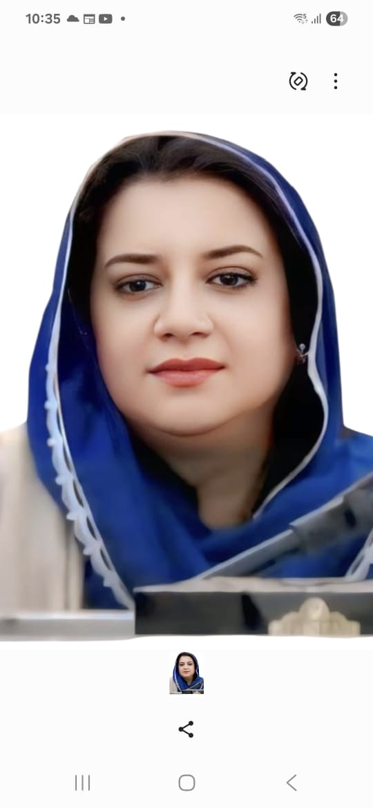 مشکلات سے نبردآزما باصلاحیت افراد ہم سب کیلئے فخر کی مثال ہیں، سیدہ مہرین ساجد