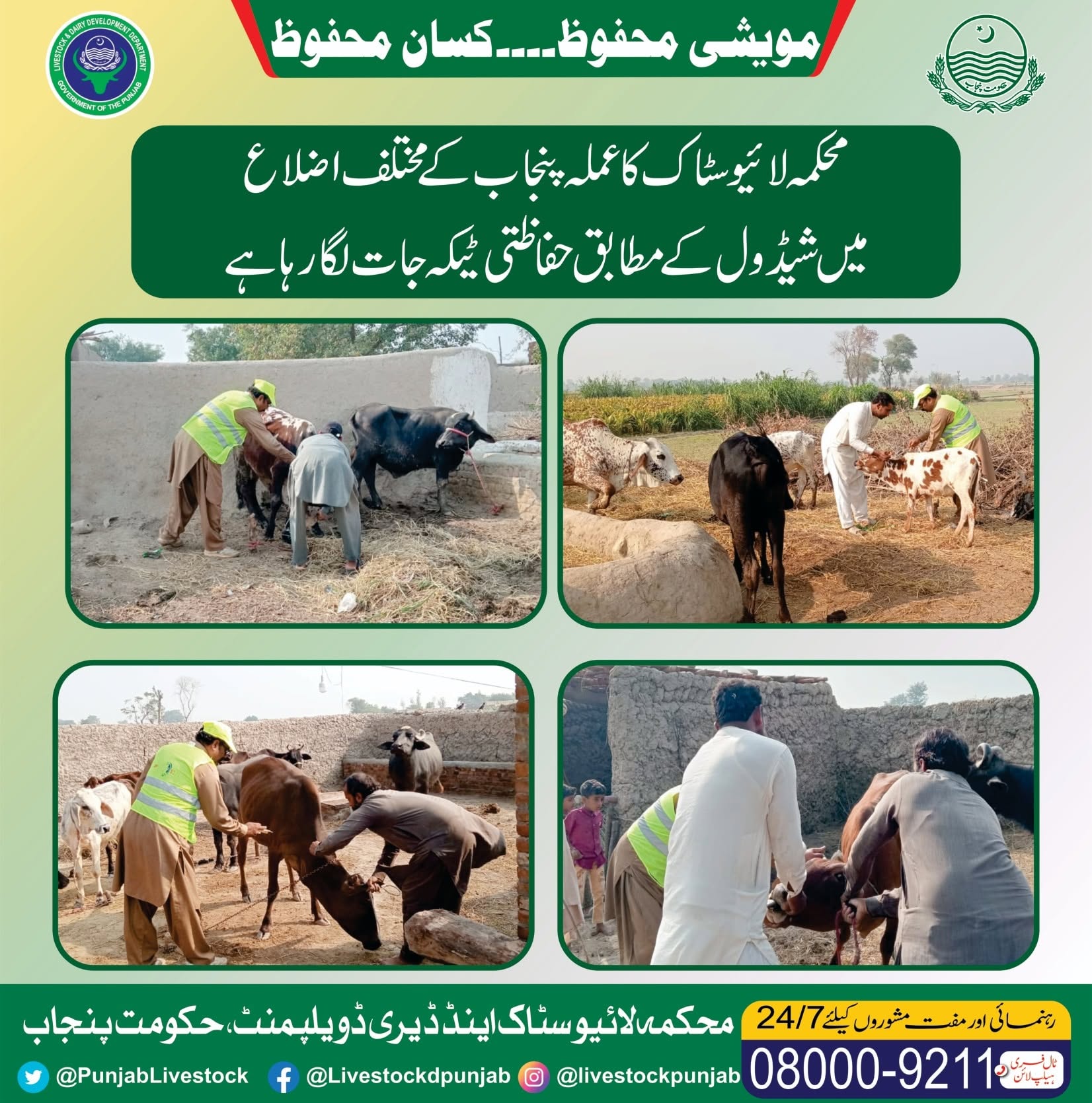 مویشی پال حضرات جانوروں کو حفاظتی ٹیکے لگوانے کےلئے متعلقہ ویٹرنری ہسپتال سے رابطہ کریں، ڈاکٹر محمد افضل