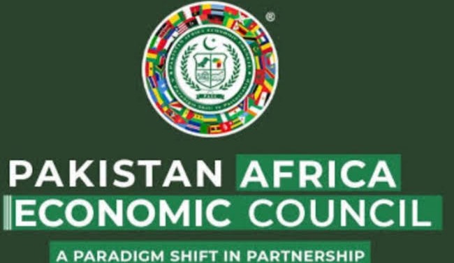 پاکستان افریقہ اکنامک کونسل