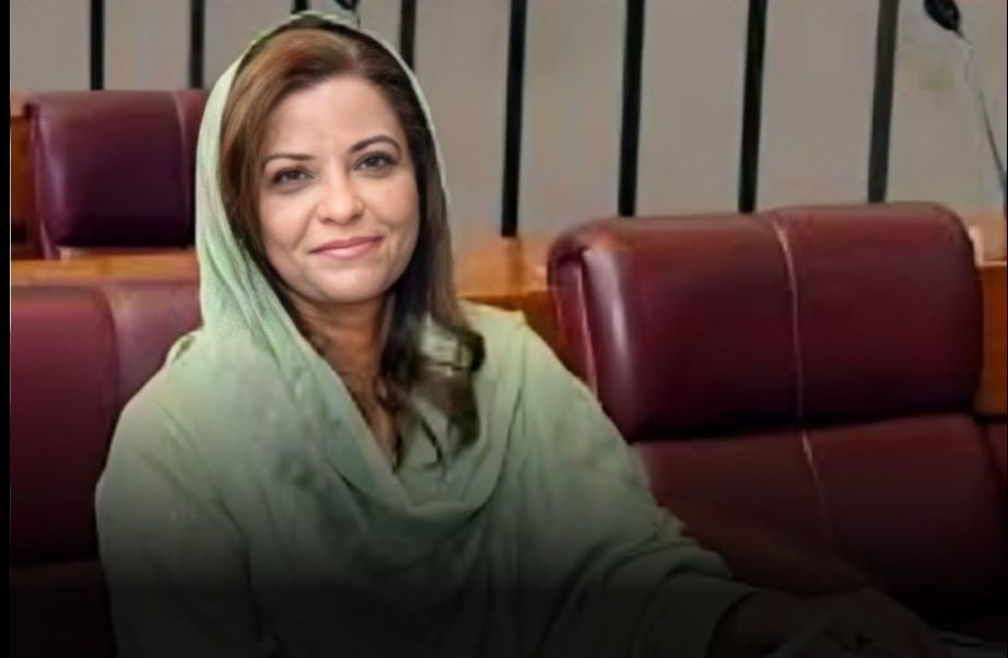 ڈاکٹر نفیسہ شاہ کی زیرِ صدارت خصوصی کمیٹی برائے صنفی مرکزی دھارے میں شمولیت کا اجلاس، کمیشن کے قانونی ڈھانچے، مینڈیٹ، کارکردگی، انتظامی امور اور درپیش چیلنجز پر کمیٹی کو جامع بریفنگ