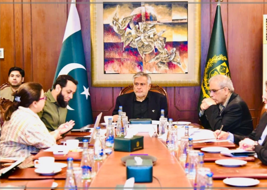 نائب وزیراعظم محمد اسحاق ڈار کی زیر صدارت فیول سبسڈی سے متعلق قومی سٹیئرنگ کمیٹی کا اجلاس