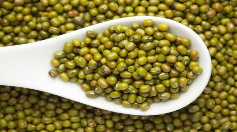 mung and mash crops