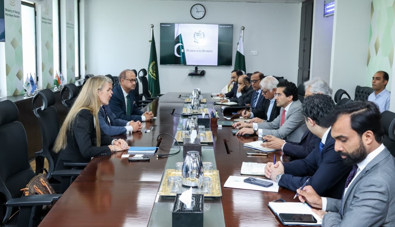 وفاقی وزیر پٹرولیم علی پرویز ملک