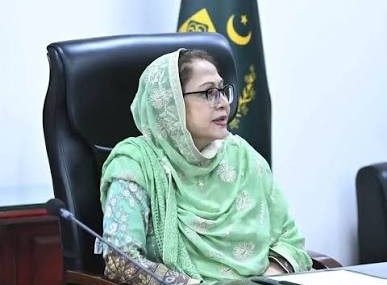 چیئرپرسن فریال تالپور