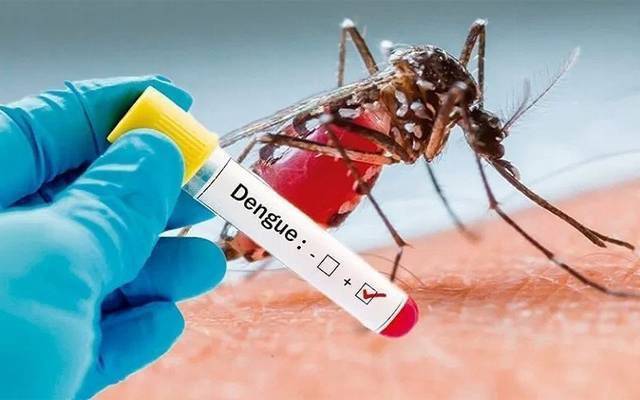 تھرپارکر میں ڈینگی کیسز کی نشاندہی پر اسپرے کا کام جاری