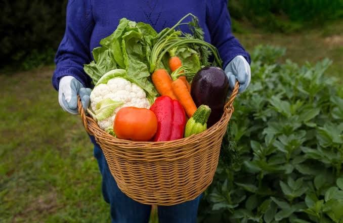 winter vegetables