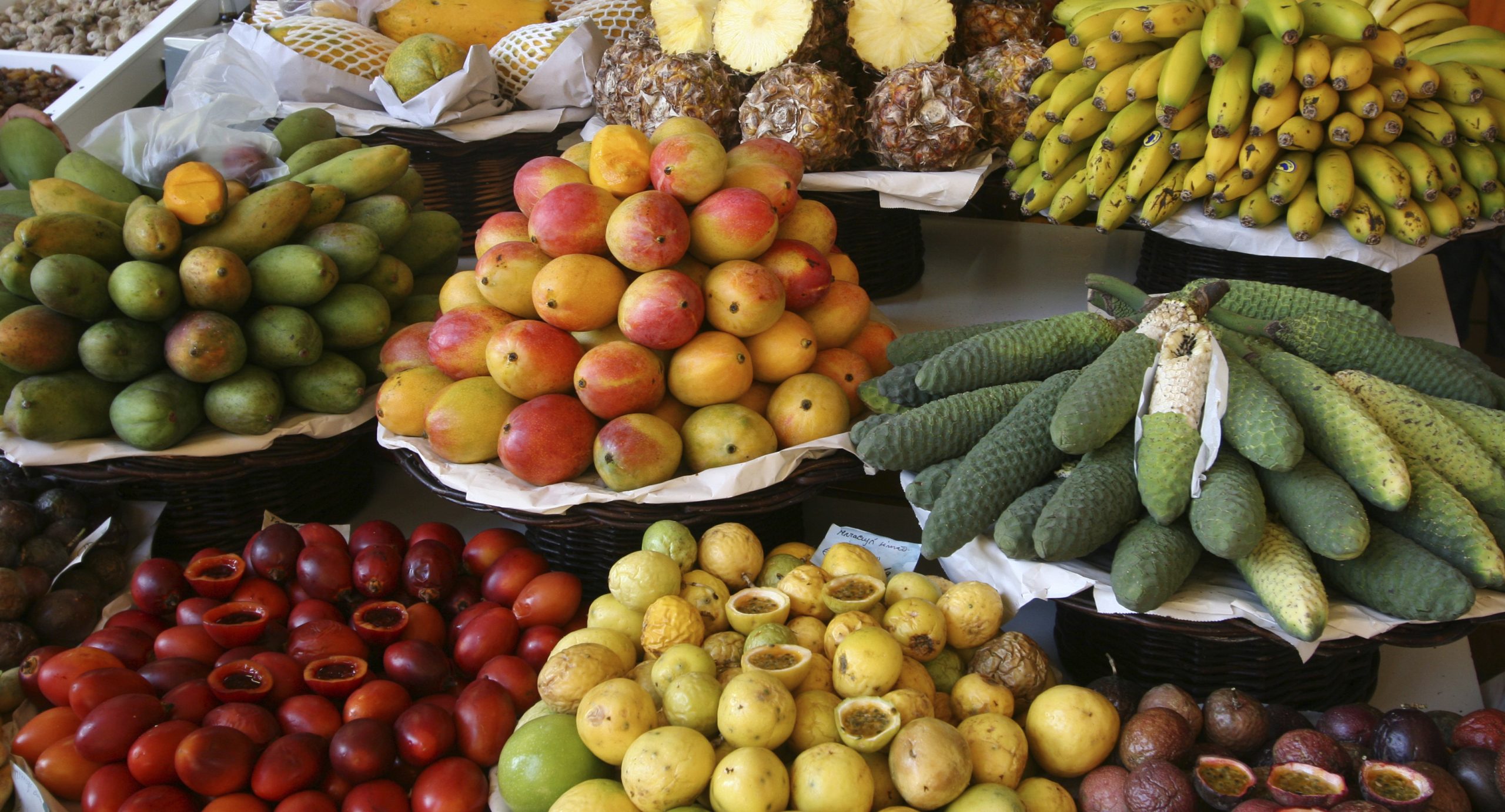 fruit exports