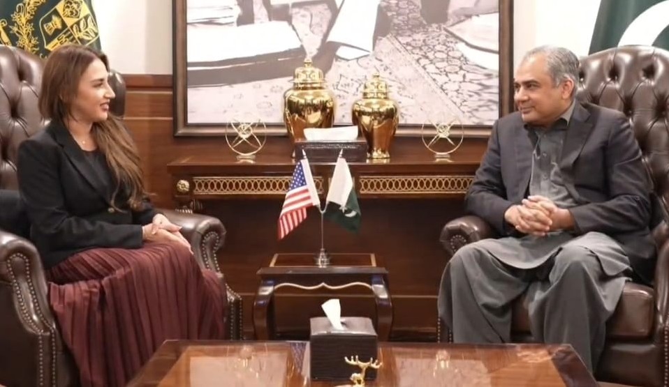 وفاقی وزیر داخلہ