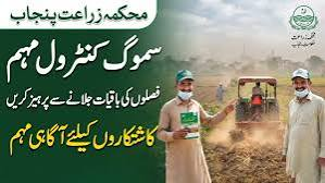 کاشتکا ر ’’سموگ کنٹرول پروگرام‘‘ کے تحت فصل کی باقیات کوجلانےسے سختی سے گریز کریں،زرعی ماہرین