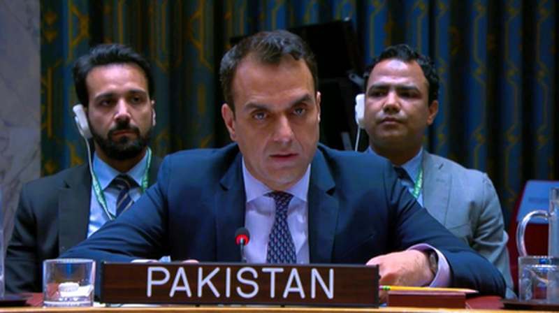 لیبیا میں پائیدار امن و استحکام کے لیے لیبیا کی قیادت میں سیاسی عمل ہی واحد راستہ ہے،پاکستان