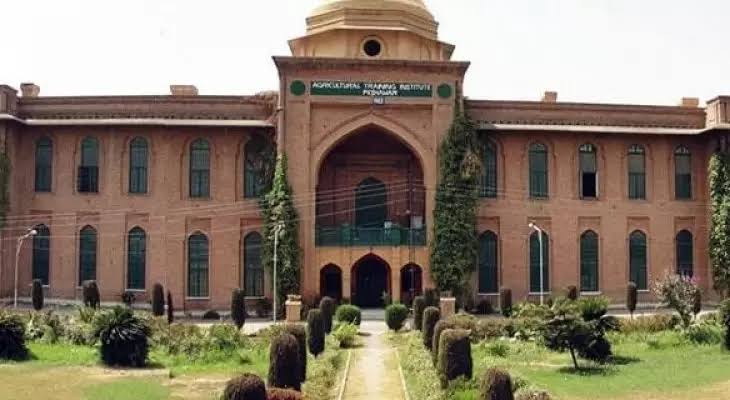 زرعی یونیورسٹی پشاور