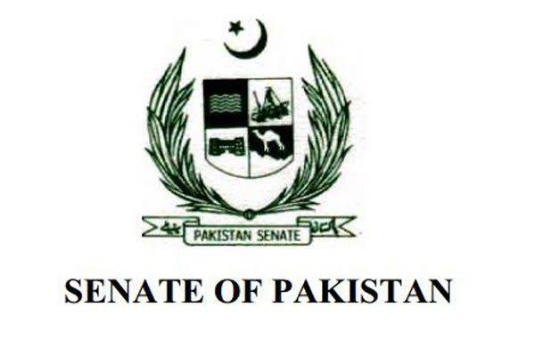 سینیٹ کی قائمہ کمیٹی برائے تعلیم