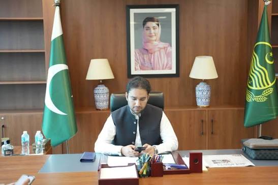 صوبائی وزیر توانائی ملک فیصل ایوب کھوکھر