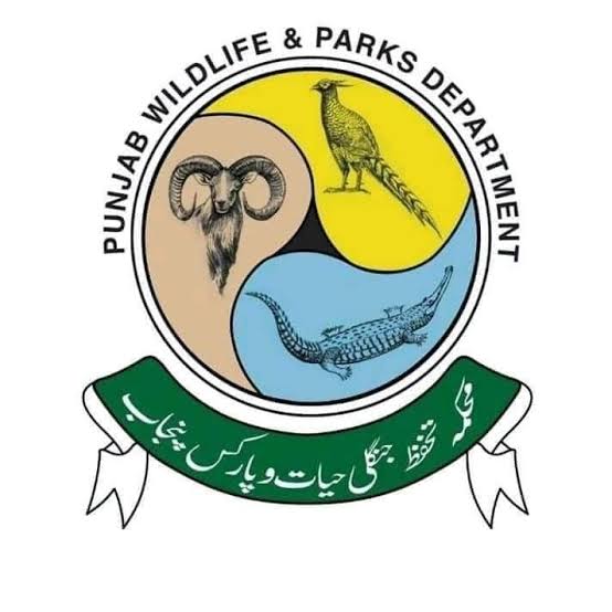 محکمہ جنگلی حیات
