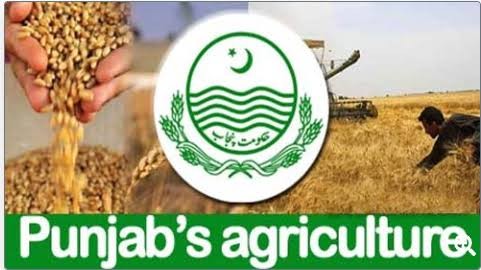 یورین اور گوبرپر مشتمل کھاد زرعی اجناس کی پیداوار میں اضافہ کیلئے