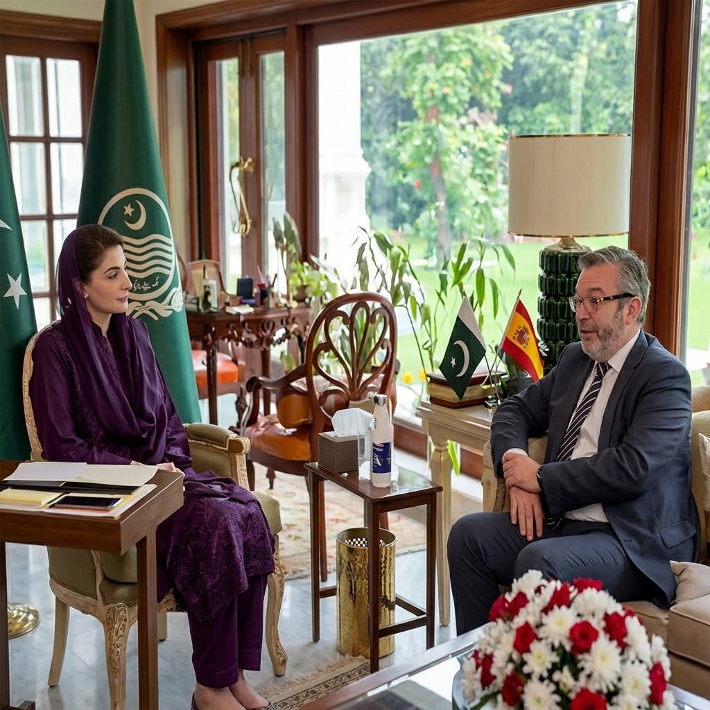 وزیراعلی مریم نواز سے سپین کے سفیر کی ملاقات، سپین وپنجاب میں کاروباری و تجارتی مواقع کا جائزہ لیا