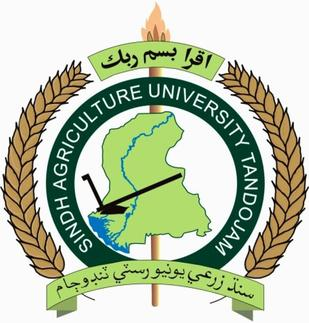 سندھ زرعی یونیورسٹی کے 107 زرعی گریجویٹس خصوصی تربیت کے لیے چین پہنچ گئے