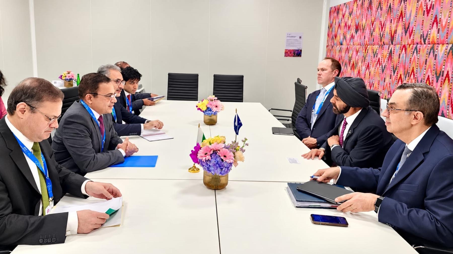 وفاقی وزیر احد چیمہ