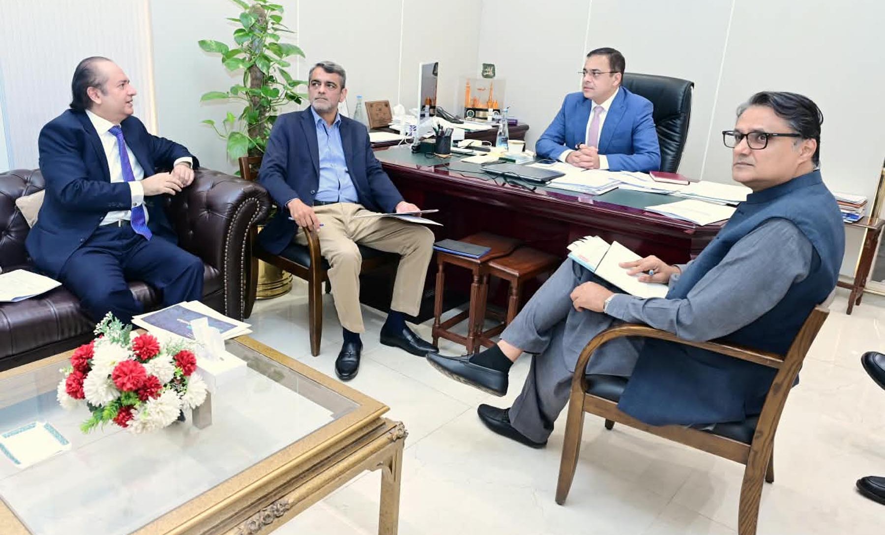 وفاقی وزیر احد چیمہ