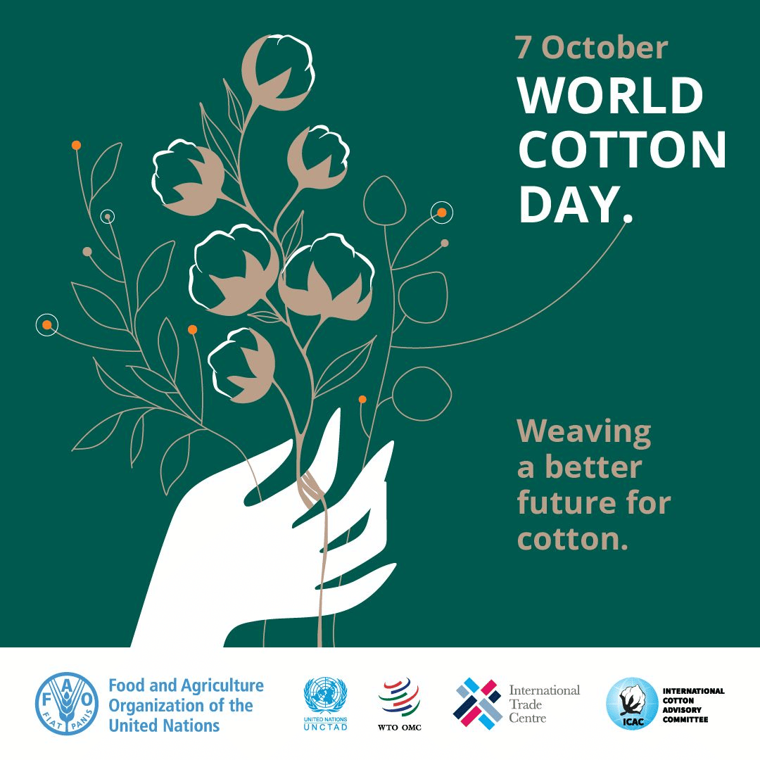 World Cotton Day