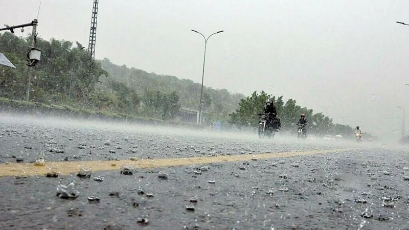 Rain