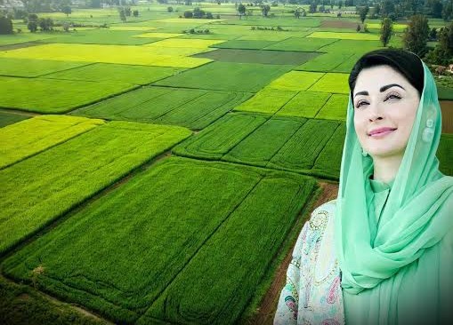 ”اپنا کھیت، اپنا روزگار“ پروگرام