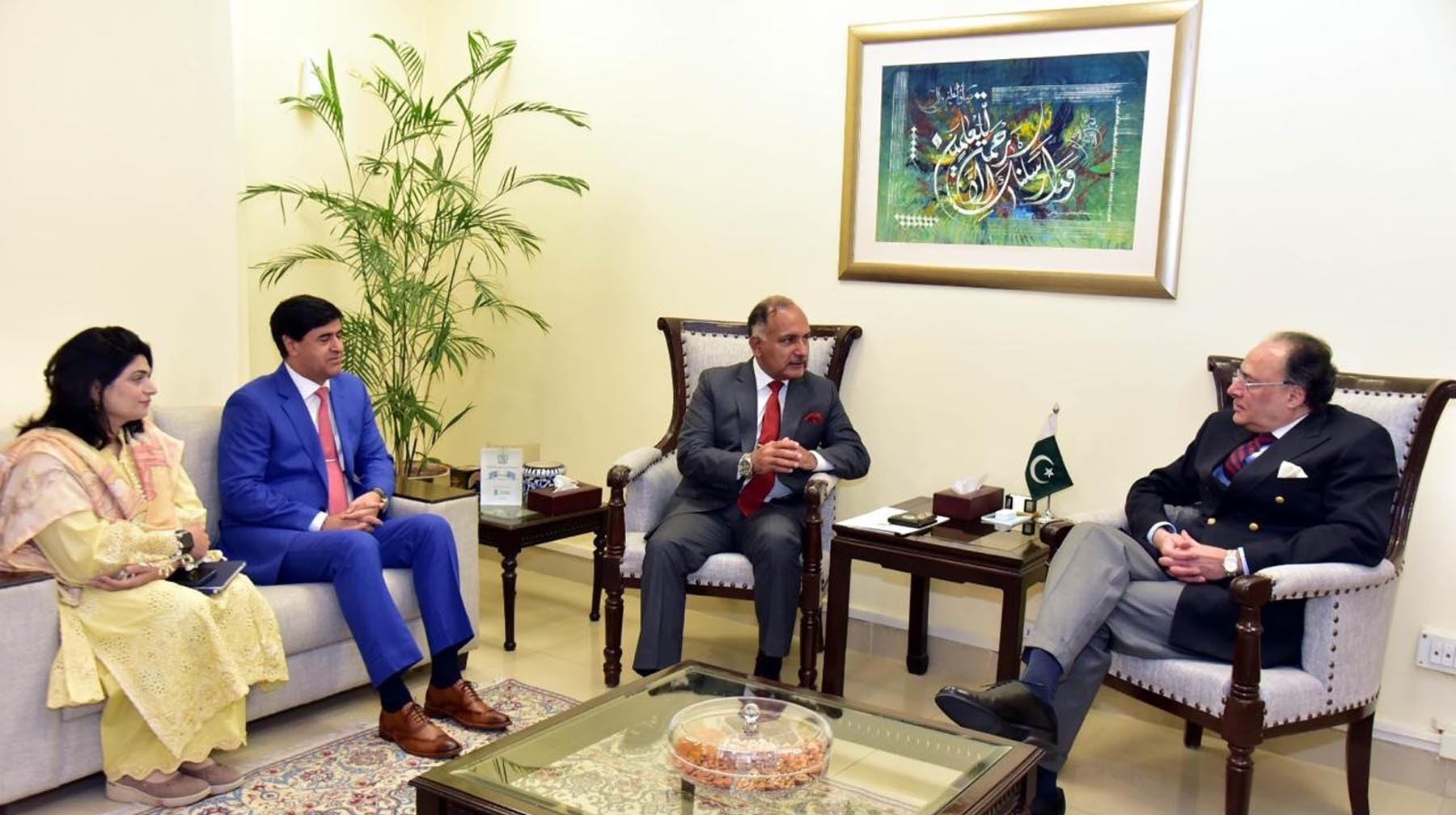 وفاقی وزیر خزانہ کی این ڈی ایم اے