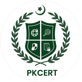 نیشنل سائبر ایمرجنسی رسپانس ٹیم