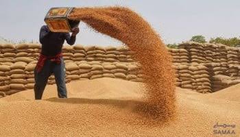 حکومت پنجاب نے گندم کی امدادی قیمت 4500 روپے فی من مقرر کر دی
