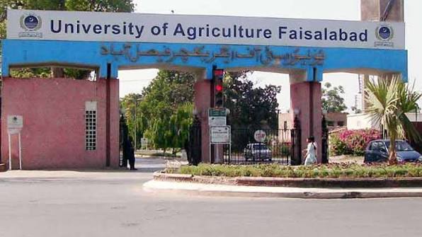 زرعی یونیورسٹی فیصل آباد